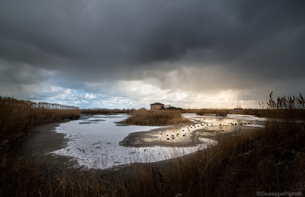 Riserva Sentina | San Benedetto del Tronto | Riviera For All